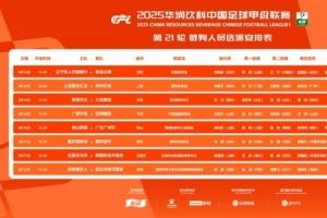 中甲第21轮裁判名单：铁人vs红狮，佛山vs广州豹两场启用VAR